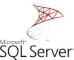 mysql server